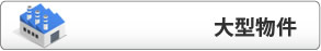 大型
